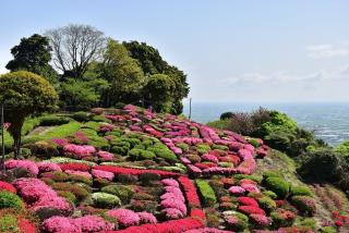 歌垣公園