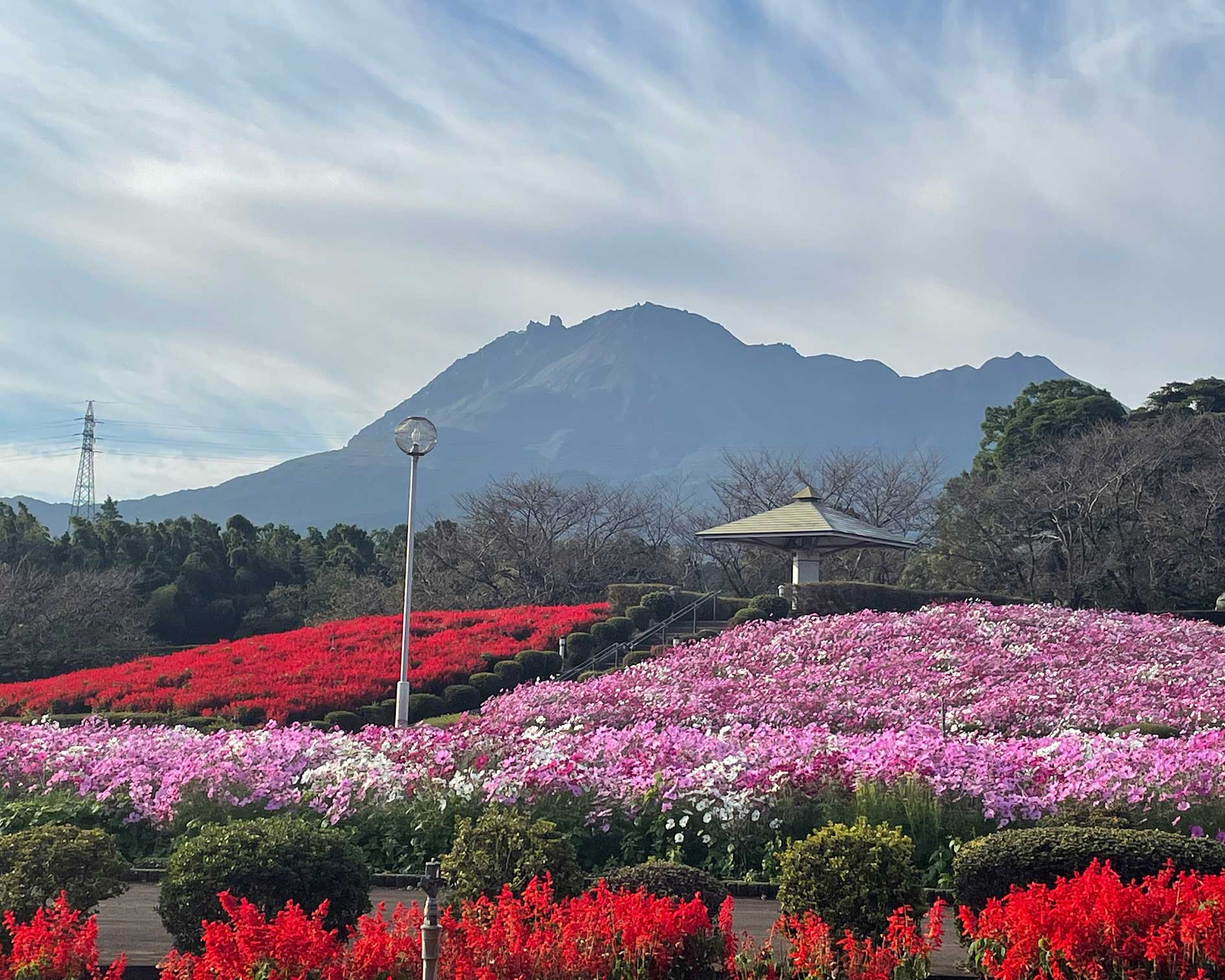 有明の森フラワー公園