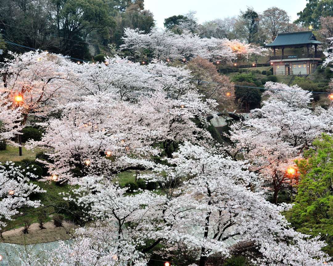 菊池公園