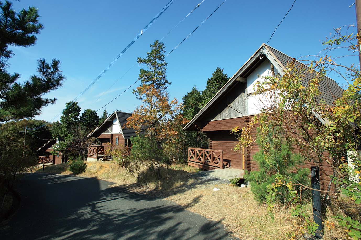 白嶽森林公園
